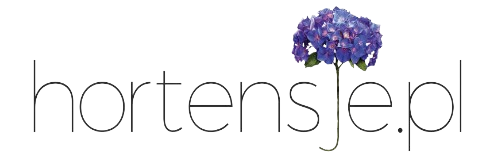 hortensje logo removebg preview